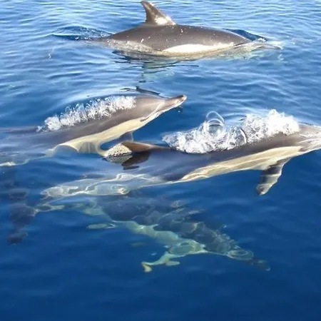 Da Rocha By Ricardo Clube Da Rocha Apartmán *